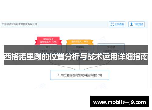 西格诺里踢的位置分析与战术运用详细指南