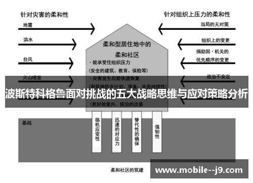 波斯特科格鲁面对挑战的五大战略思维与应对策略分析