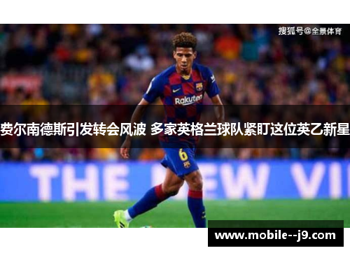 费尔南德斯引发转会风波 多家英格兰球队紧盯这位英乙新星