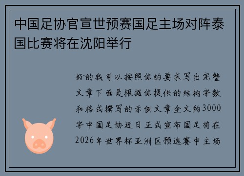 中国足协官宣世预赛国足主场对阵泰国比赛将在沈阳举行