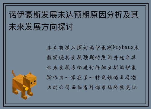 诺伊豪斯发展未达预期原因分析及其未来发展方向探讨